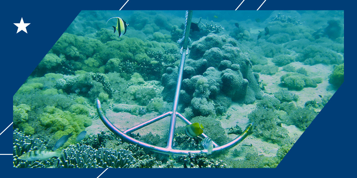 The Ultimate Boat Anchor Buying Guide