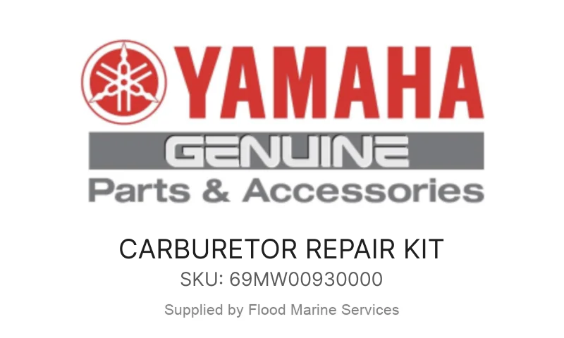 CARBURETOR REPAIR KIT