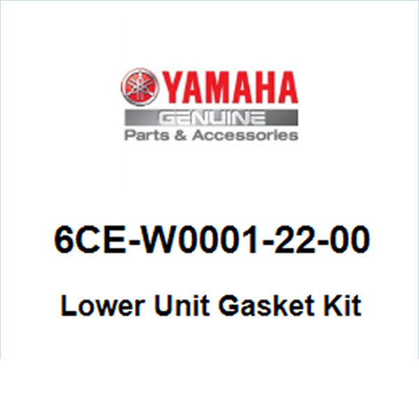 LOWER UNIT GASKET KIT