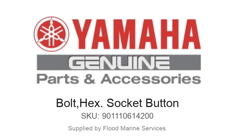 BOLT HEX SOCKET BUTTON