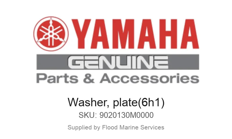 WASHER, PLATE(6H1)