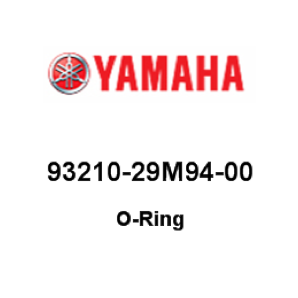 O-RING(6H1)