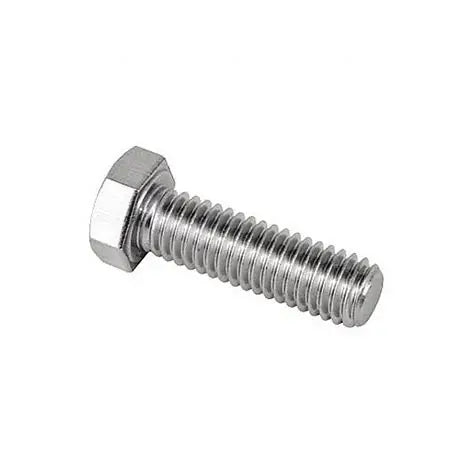 MB 12mm X 100mm  M. BOLT 18-8