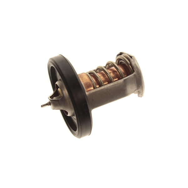 THERMOSTAT, WTR(60 DE