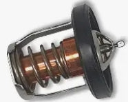 THERMOSTAT COMP,WATE