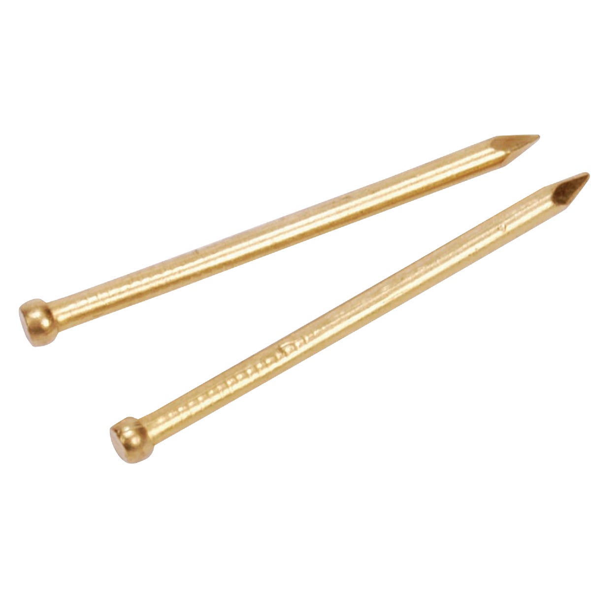16 x 3/4 Brass Brads