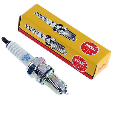 DPR6EA9  NGK SPARK PLUG  5531