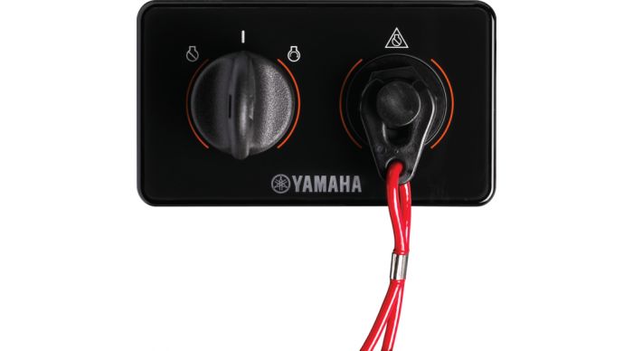 PANEL SWITCH ASSY