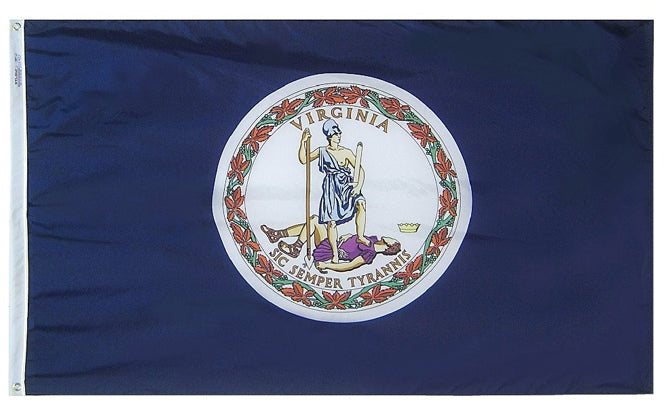 VA PRINTED 12X18 NYL FLAG nnn