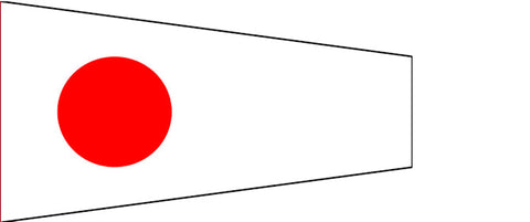 CODE FLAG 1