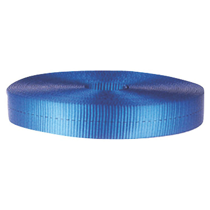 WEBBING 1in. NYLON BLUE 6000#