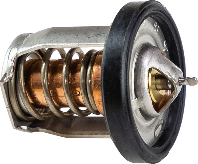 THERMOSTAT COMP, WATER (SUZ Z 1)